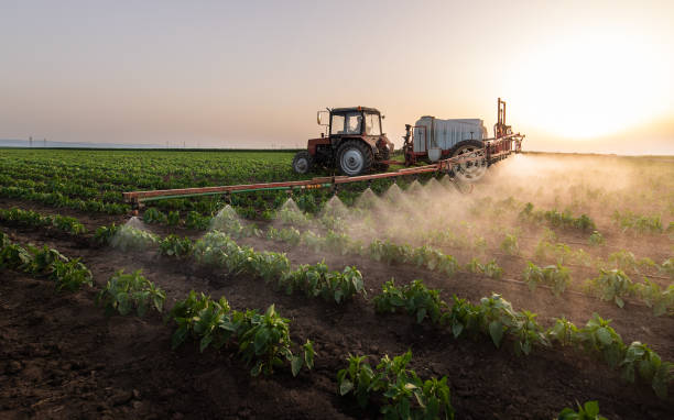Best Pest Removal Services  in Ontonagon, MI
