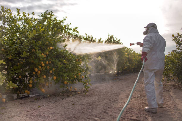 Best Pest Control Near Me  in Ontonagon, MI
