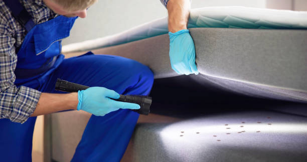 Best Best Pest Control Companies  in Ontonagon, MI