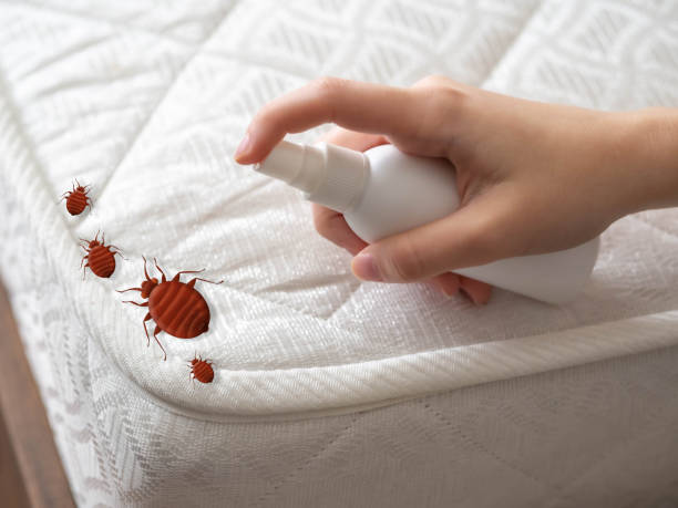 Pest Prevention Services in Ontonagon, MI