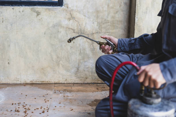 Best Affordable Pest Control Services  in Ontonagon, MI