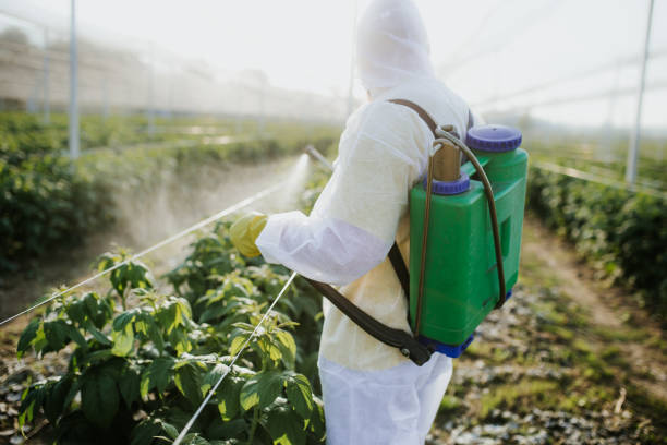 Best Exterminator Services  in Ontonagon, MI